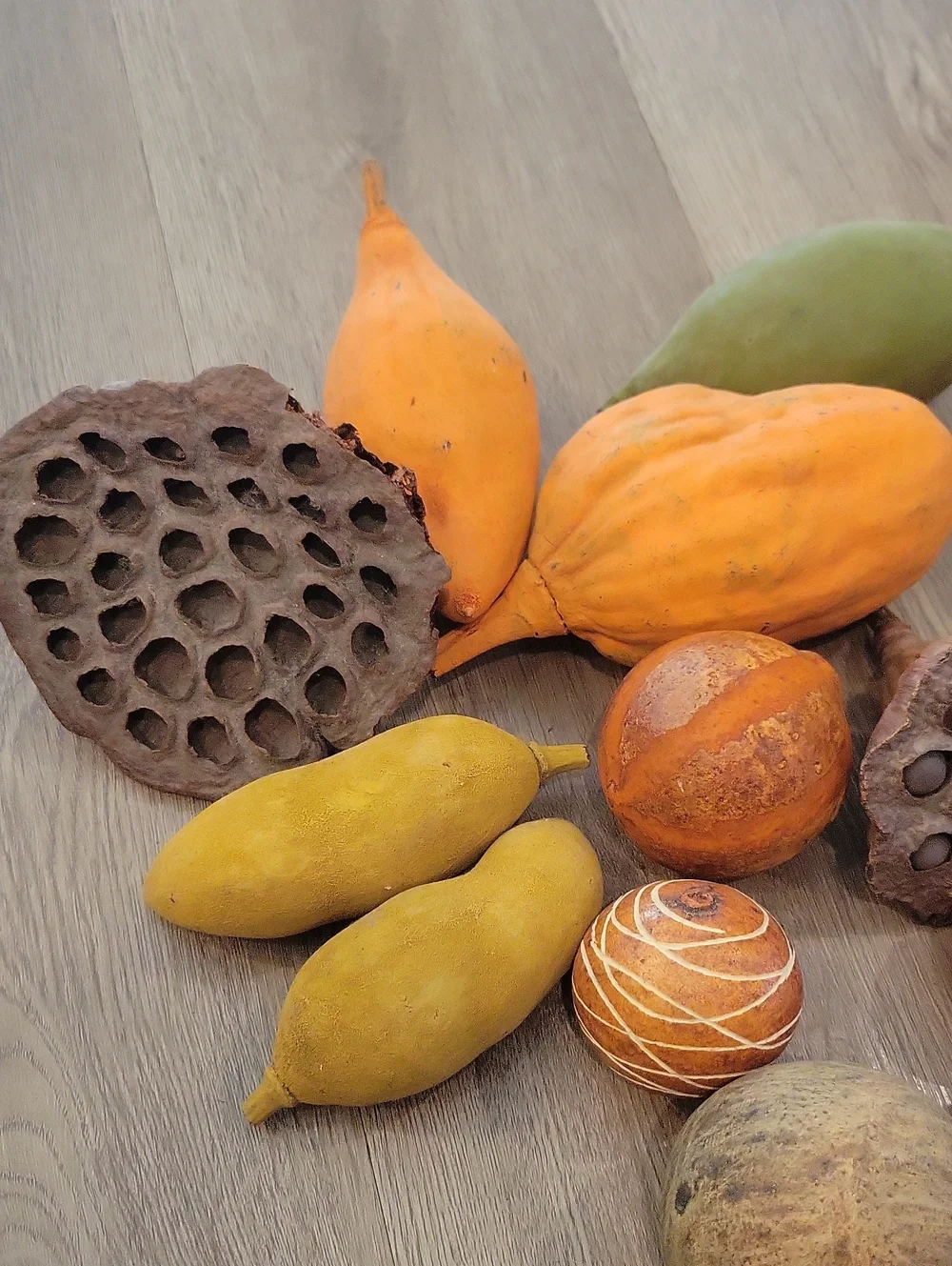 Decorative Dried Pod and Ball Mix - Yellow & Orange Home Accent